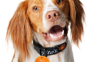 Free Tito’s Dog Collar Tag