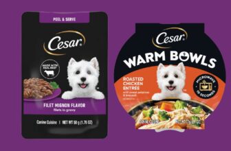 CESAR® Gourmet Wet Dog Food Sample