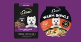 CESAR® Gourmet Wet Dog Food Sample